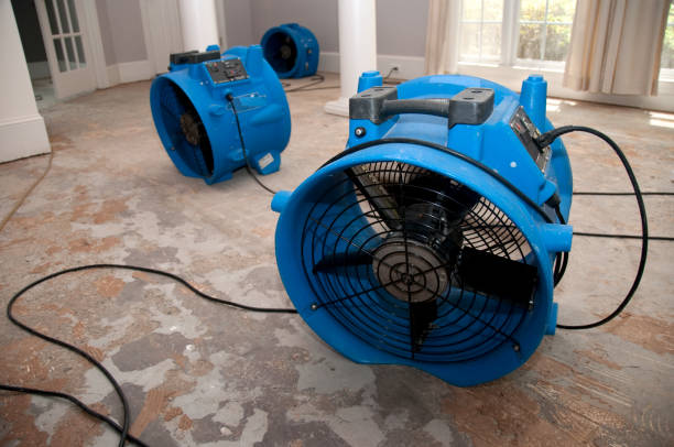 Best Local water damage restoration  in Southgate, KY