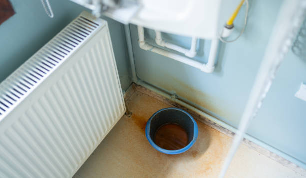 Best Sewage cleanup and water damage restoration  in Southgate, KY