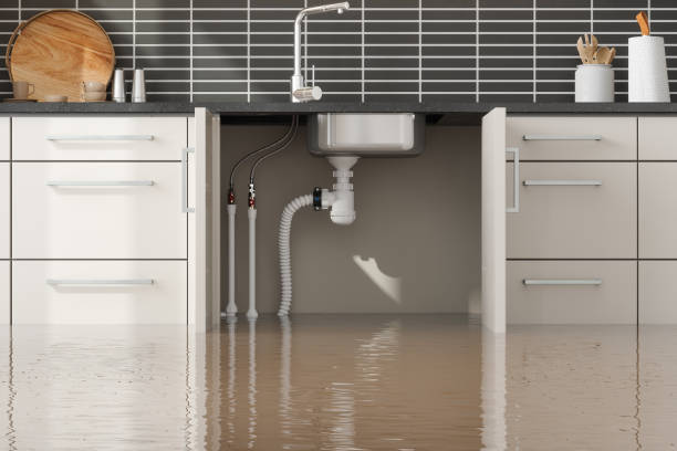 Best Flood damage cleanup  in Southgate, KY